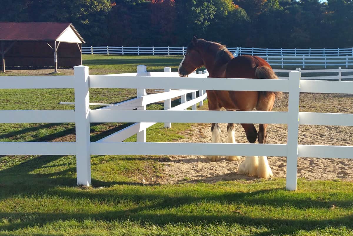 horse fences ranch san diego